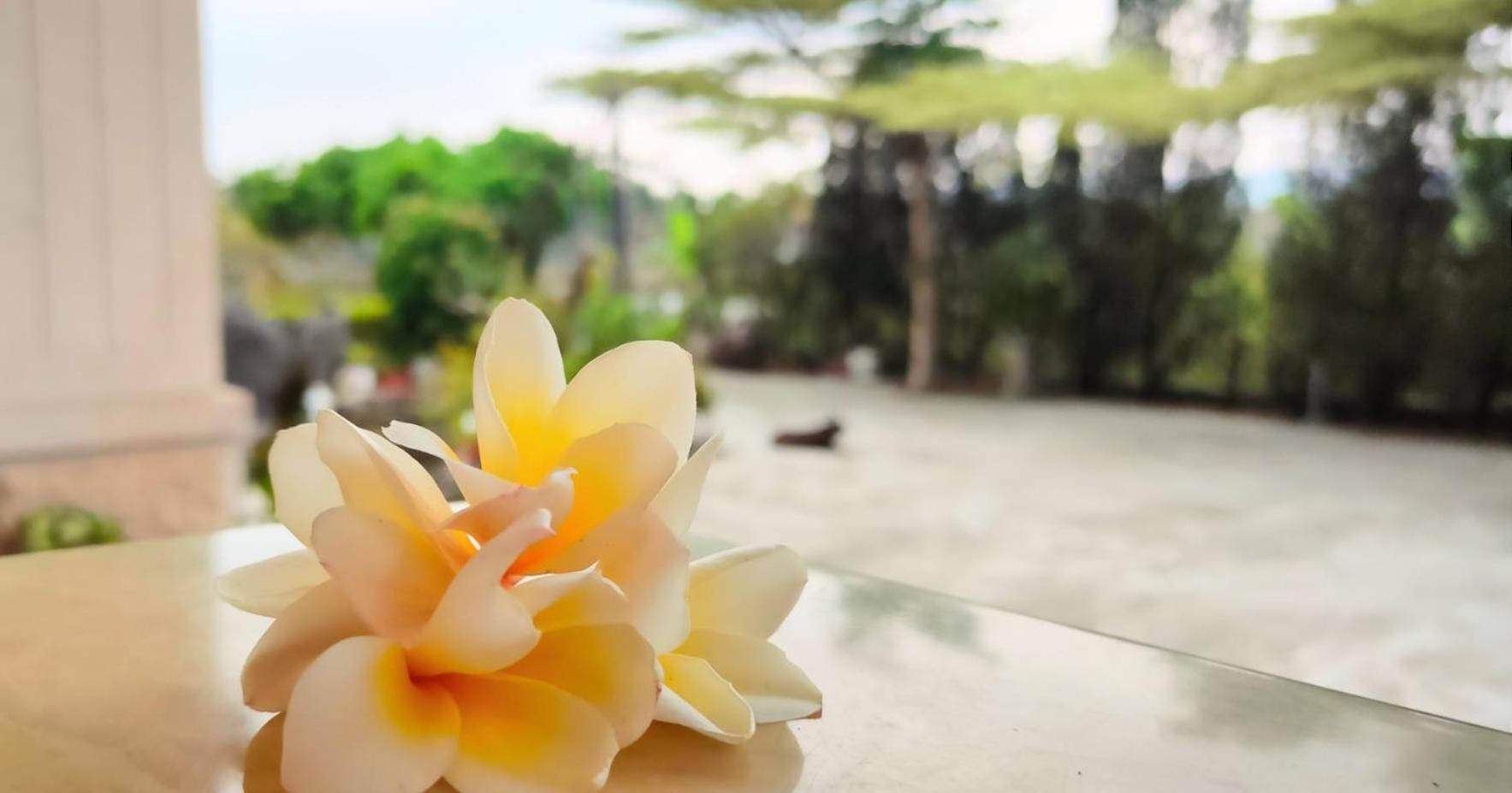 Shan-lin 登雲villa المظهر الخارجي الصورة